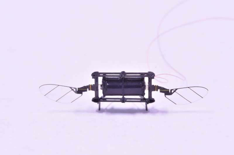 Un nouveau micro-robot aérien basé sur des actionneurs en élastomère diélectrique  