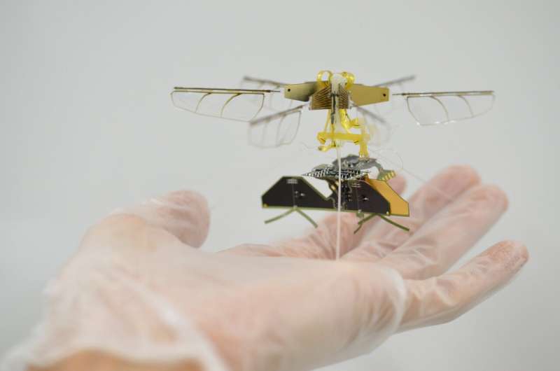 Un nouveau véhicule aérien non attaché et de la taille d'un insecte 