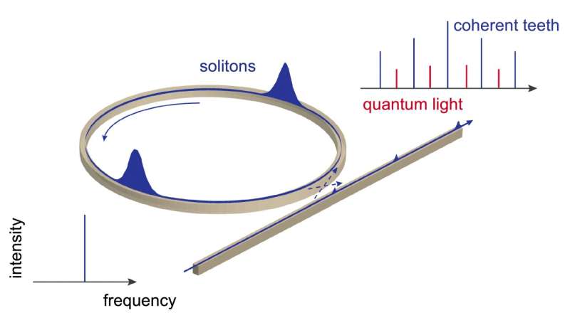 A quantum view of 'combs' of light