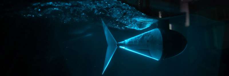A robotic fish tail and an elegant math ratio could inform the design of next- generation underwater drones