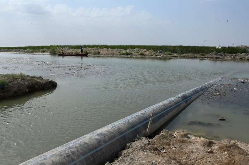 A sewage pipe crossing the polluted Iraqi marshes
