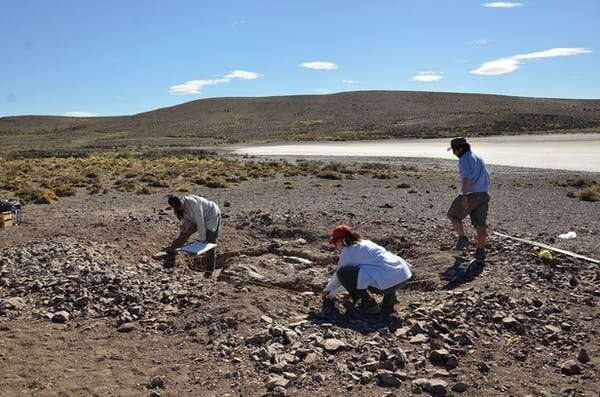 A social species? Newly discovered fossils show early dinosaurs lived in herds