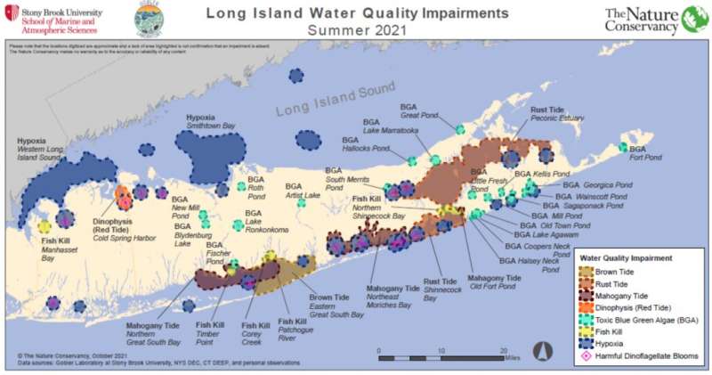 A summer of discontent in Long Island’s coastal waters