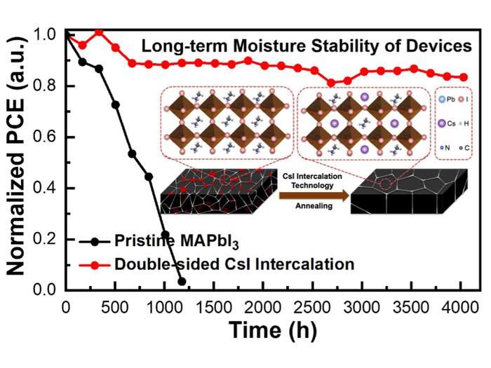 A universal intercalation strategy for high-stable perovskite photovoltaics