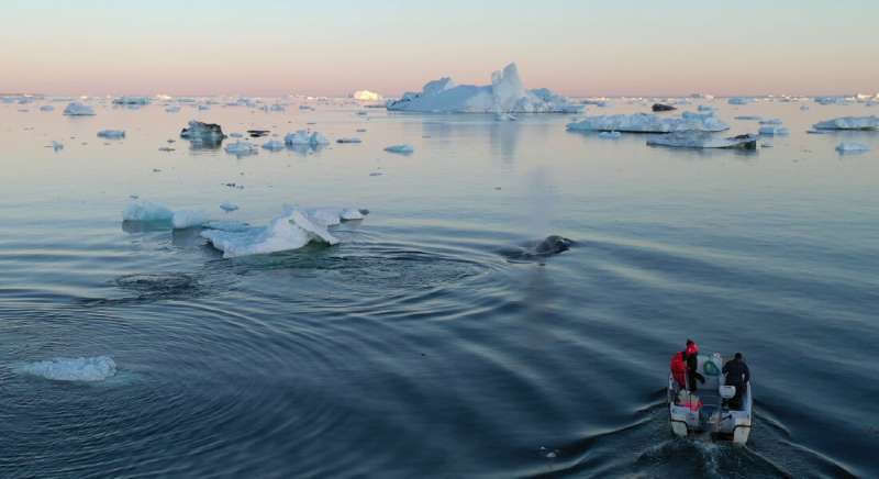 A bucket of water can reveal climate change impacts on marine life in the Arctic