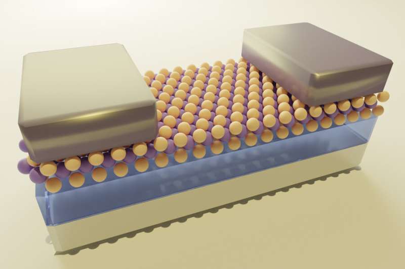 Advance may enable 2D transistors for tinier microchip components