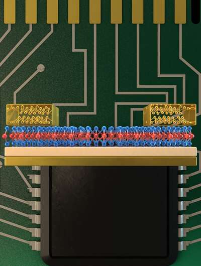 Advance may enable 2D transistors for tinier microchip components