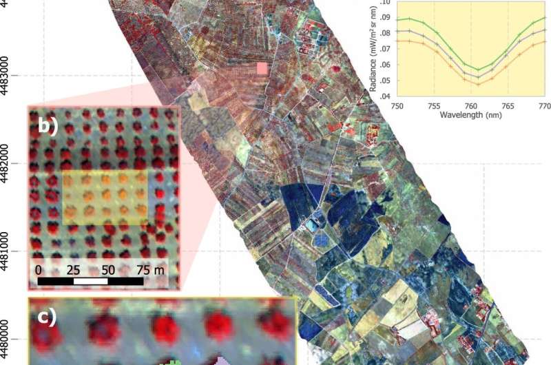 Aerial scanning can help protect food crops against devastating disease