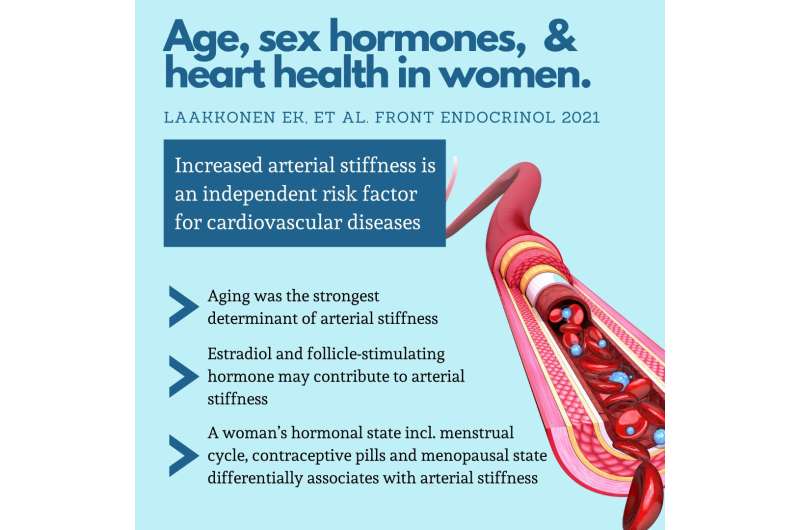 Aging stiffens the blood vessels but their flexibility also fluctuates based on a woman's hormone state