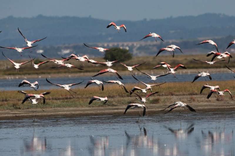 Agios Mamas is one of Europe's Natura 2000 wildlife diversity regions, and is home to nearly 60 different bird species