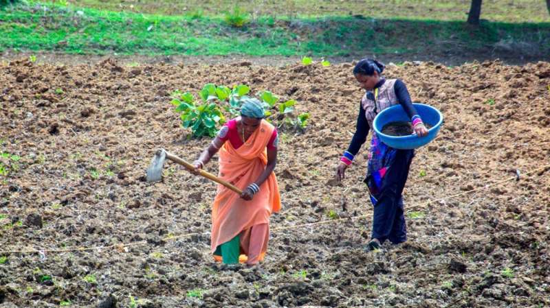 Ag policy in India needs to account for domestic workload