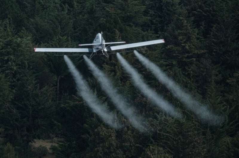 Air support: A plane sprays pesticides over locust-covered trees in Meru. The poison is not exclusive to pests, as bees, butterf