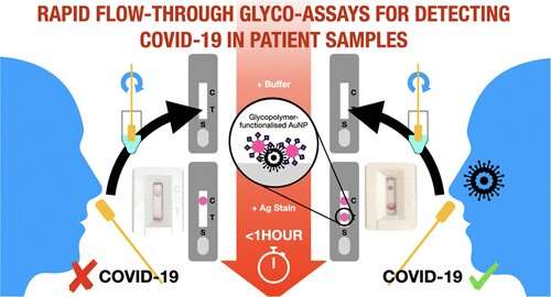 Alternative to antibodies in diagnostics demonstrated in fight against viral infections such as COVID-19
