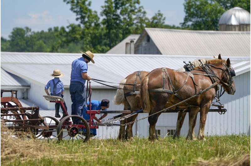 Amish put faith in God's will and herd immunity over vaccine