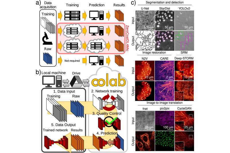 An easy-to-use platform is a gateway to AI in microscopy