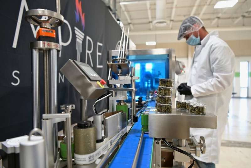 An Empire Standard employee assembles bottles containing CBD oil at their factory in Binghamton, New York on April 13, 2021