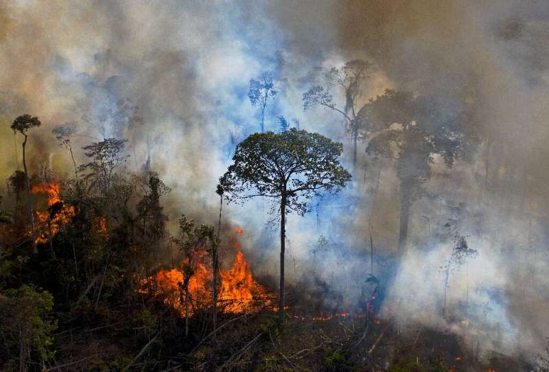 An illegally lit fire in the Amazon rainforest in Brazil's Para state—the country has vowed to eliminate illegal deforestation b