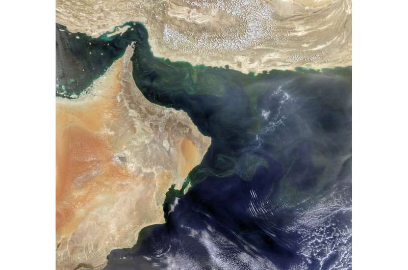 An upended ecosystem in the Arabian Sea