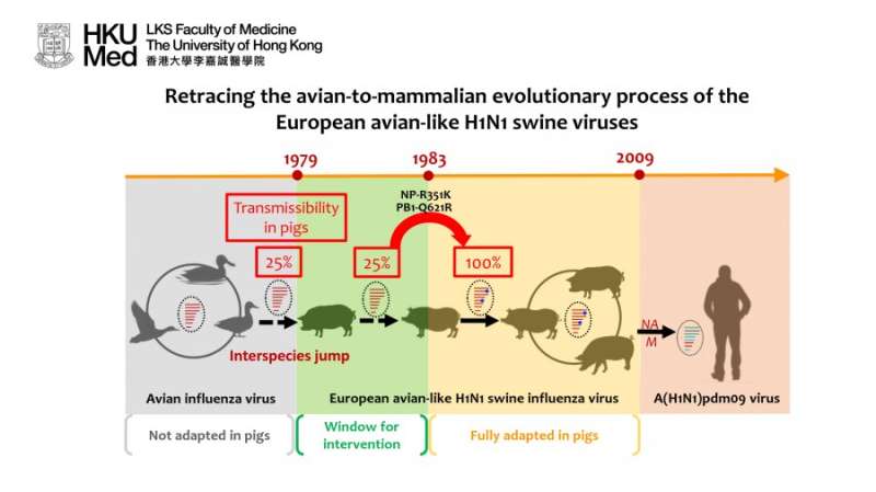 Ancestral sequence reconstruction of avian influenza virus transmission in pigs