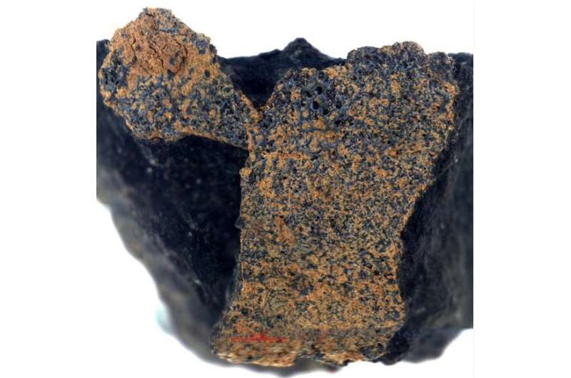Ancient meteorite could reveal the origins of life on Earth