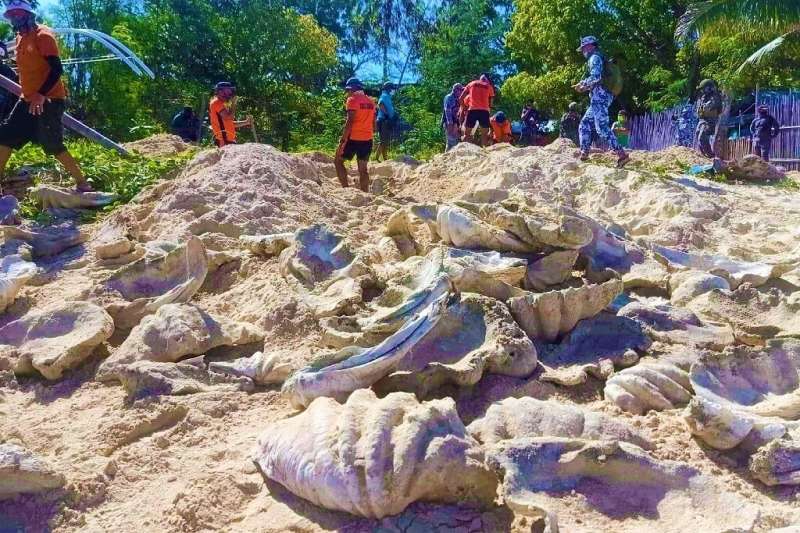 An illegally harvested haul of more than 300 giant clam shells with a value of around $3.3 million has been found in the Philipp