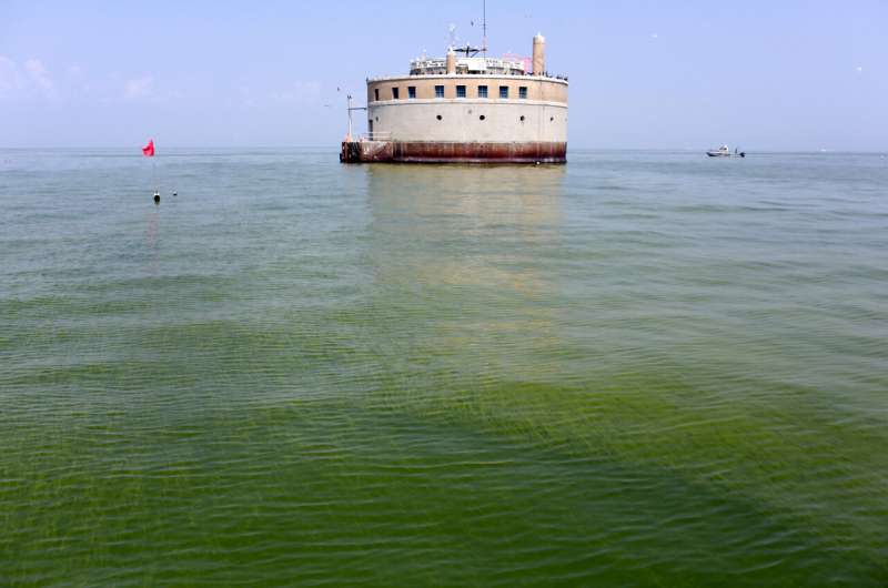 Another mild algae bloom forecast for Lake Erie this summer