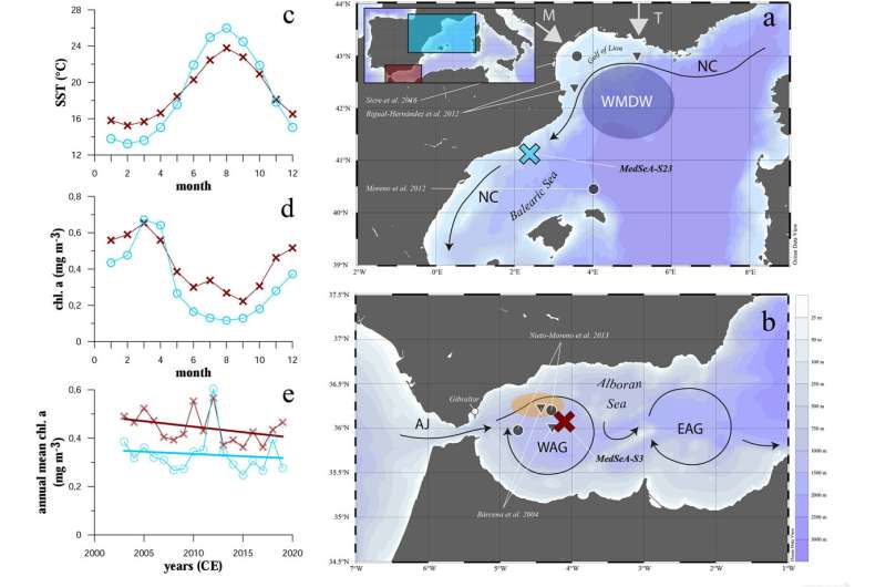 Anthropogenic climate change already affects the production of marine plankton populations in the Mediterranean Sea