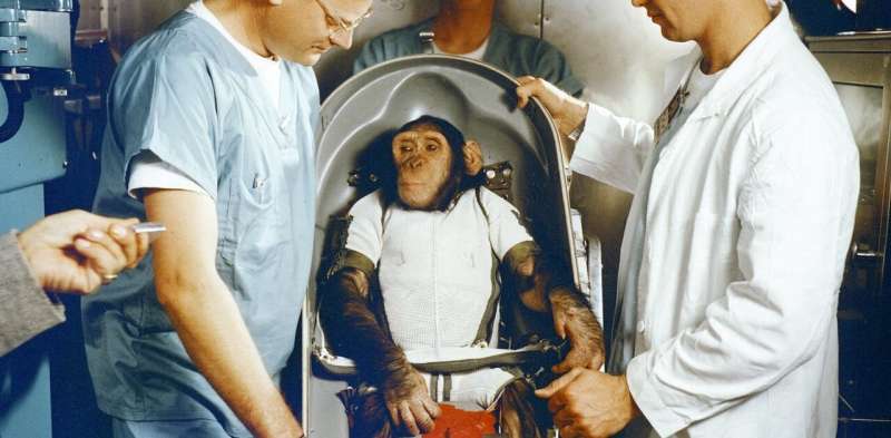 Apes, robots and men: the life and death of the first space chimp