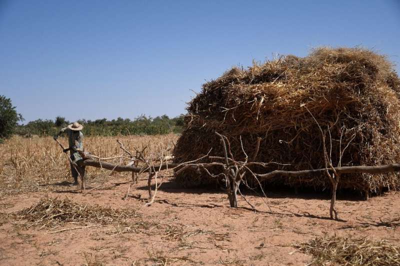 Arable land is prized in landlocked Niger, where desert covers three-quarters of the territory