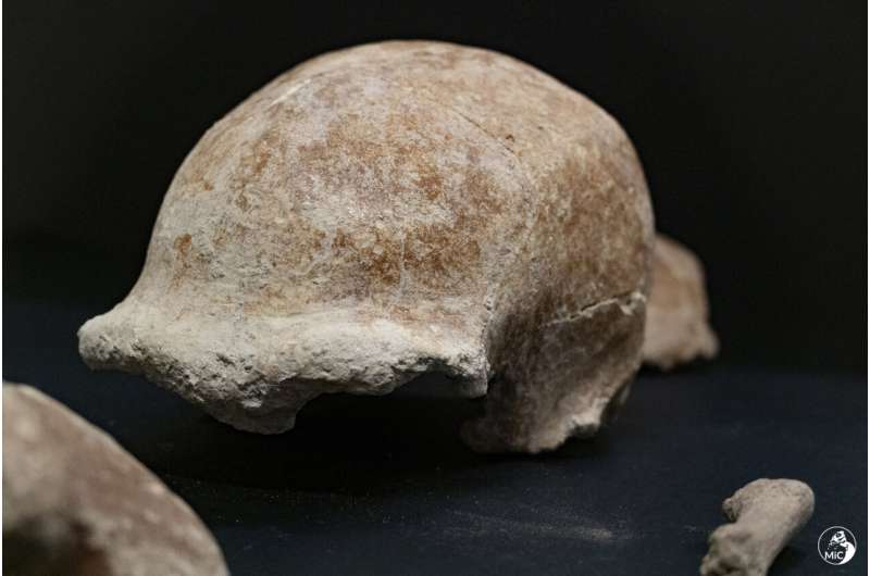 Archaeologists discover remains of 9 Neanderthals near Rome