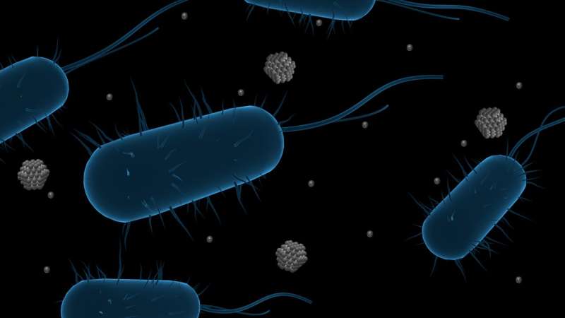 Are silver nanoparticles a silver bullet against microbes?