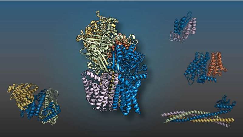 Artificial intelligence successfully predicts protein interactions