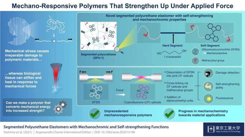A show of force: Novel polymer that toughens up and changes color upon mechanical stress