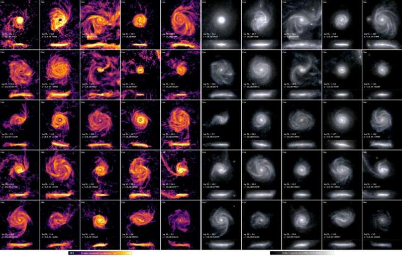 At cosmic noon, puffy galaxies make stars for longer