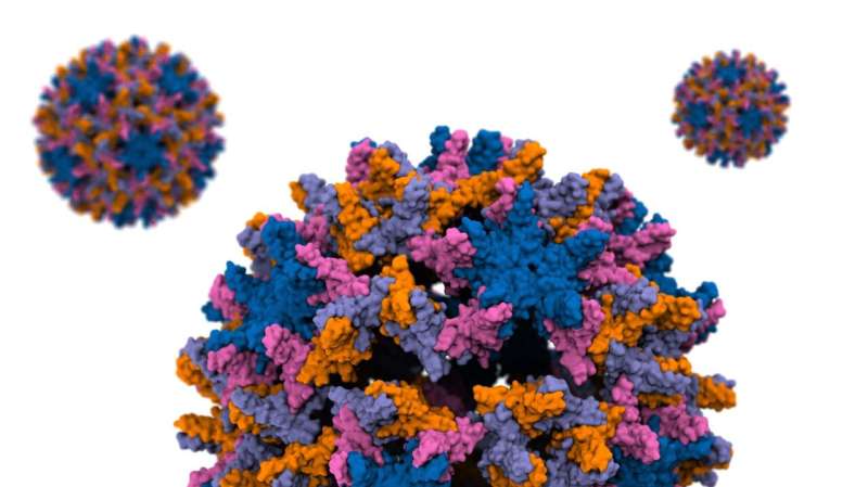 Atom by atom: Scientists simulate a step in hepatitis B viral infection to help develop therapies targeted at capsid disassembly