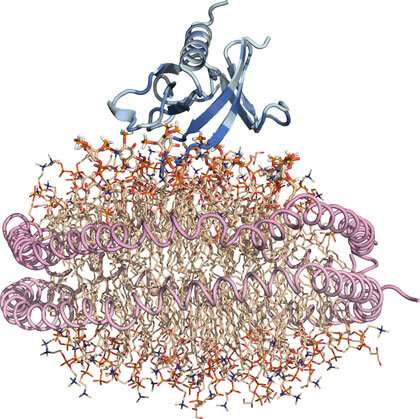 Atomic-level insights gained for a key lipid-binding protein implicated in cancer 