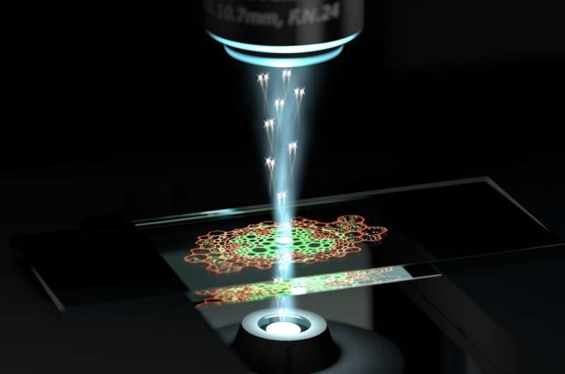 Ricercatori australiani hanno creato un microscopio quantistico in grado di vedere l'impossibile