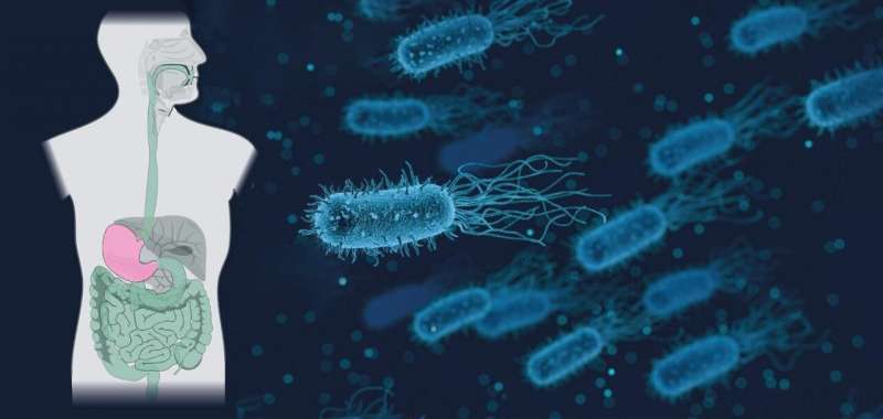 Bacteria adapt syringe apparatus to changing conditions