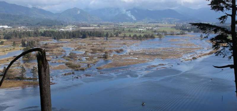 Benefits of Tillamook Bay wetlands restoration extend far beyond the scope of initial project, report finds
