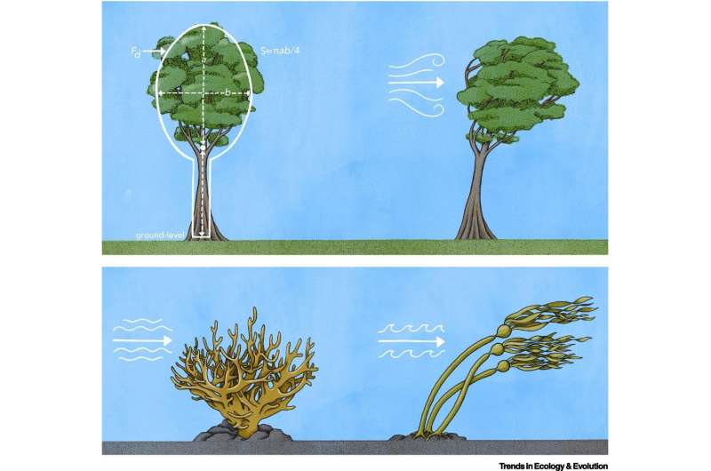 Better predicting how plants and animals will weather climate extremes