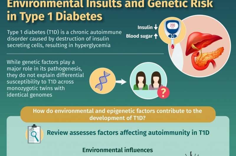 Beyond mere blueprints: Variable gene expression patterns and type 1 diabetes