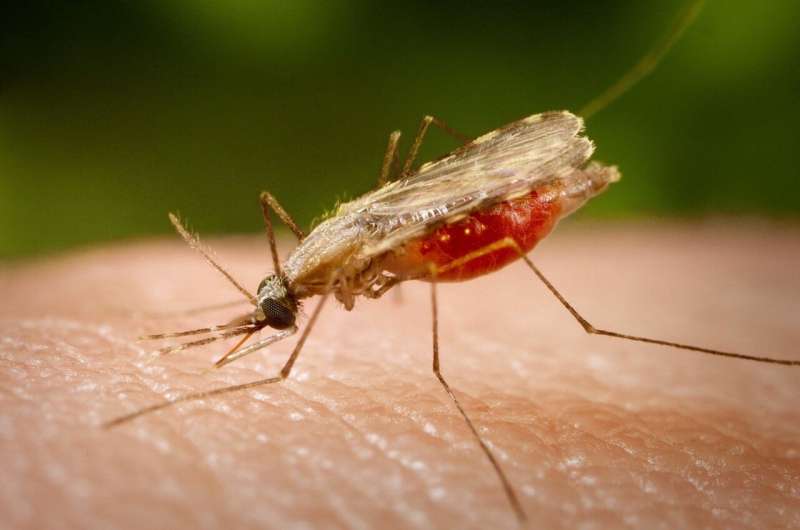 Blocking how the malaria parasite suppresses the immune response
