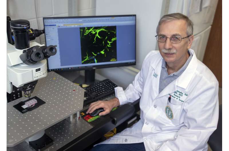 Blood plasma protein fibrinogen interacts directly with nerve cells to cause brain inflammation