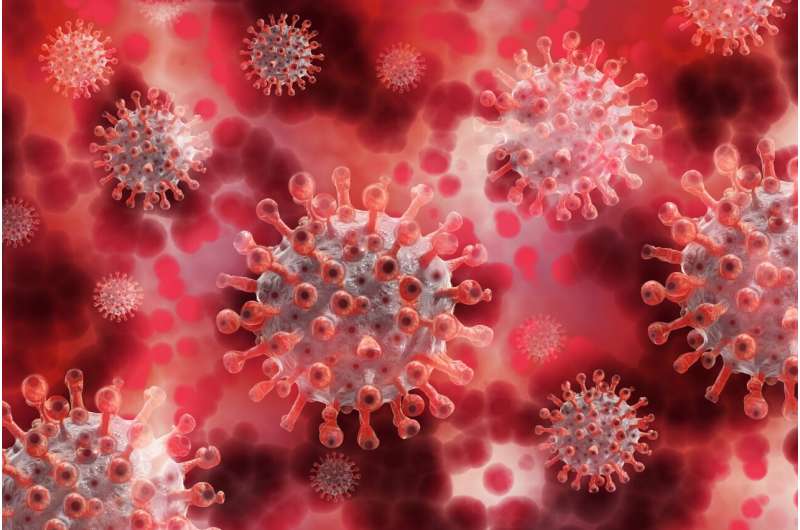 血液测试可以追踪的进化冠状病毒感染