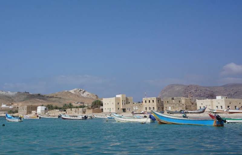 Boats at Qalansiyah on the west of Socotra, the second biggest settlement on the Indian Ocean archipelago