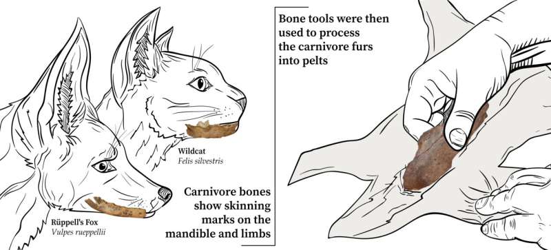 Bone tools from Morocco indicate the production of clothing by 120,000 to 90,000 years ago