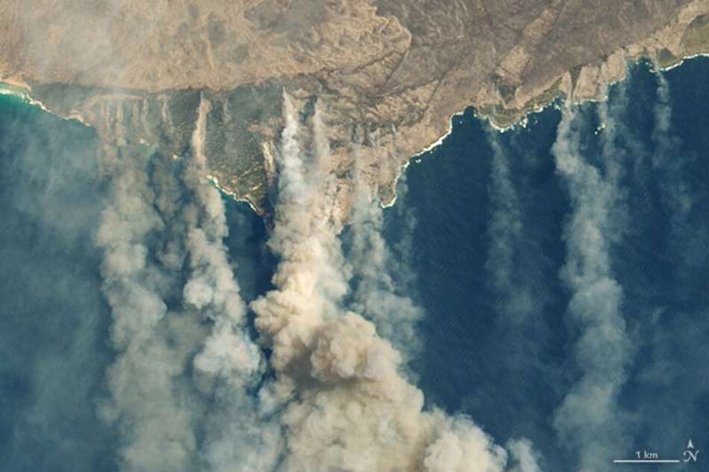 Bushfires, not pandemic lockdowns, had biggest impact on global climate in 2020