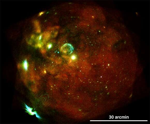 Candid cosmos: eROSITA cameras set benchmark for astronomical imaging
