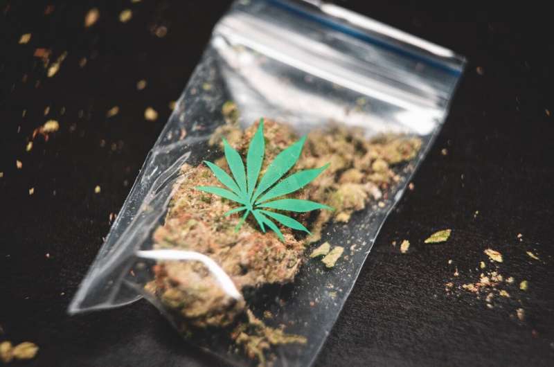 cannabis dispensaries