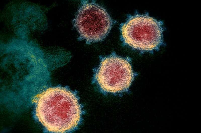 Can vaccinated people still spread the coronavirus?